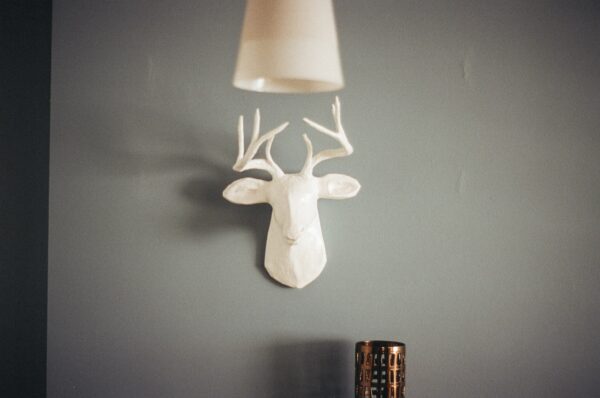 wall-home-deer wall-home-deer